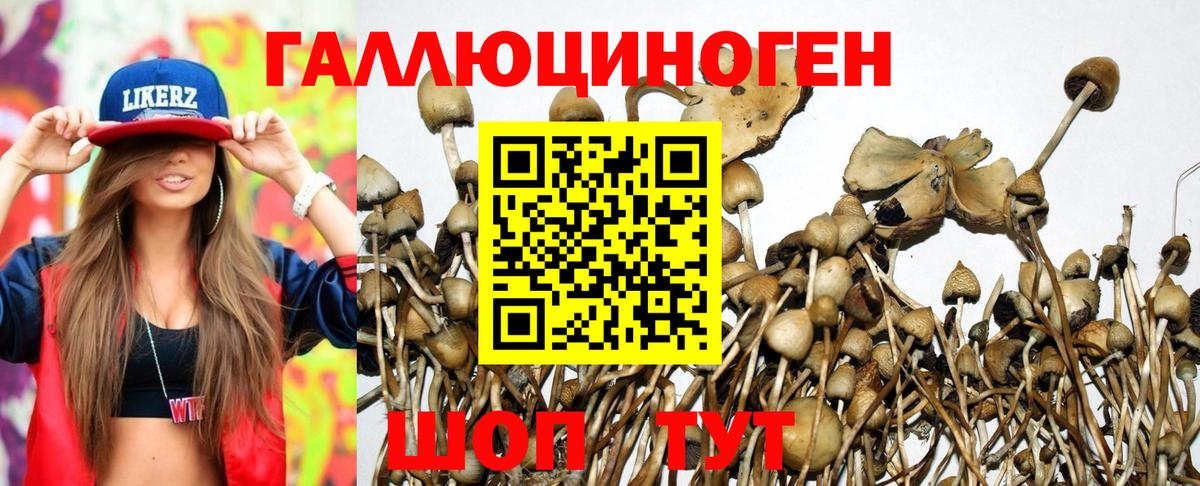 Галлюциногенные грибы Cubensis Мирный