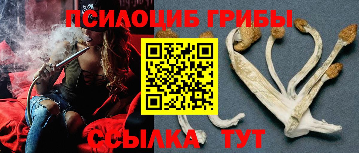 Псилоцибиновые грибы ЛСД  Галлюциногенные грибы ЛСД  Мирный  Вход с VPN 